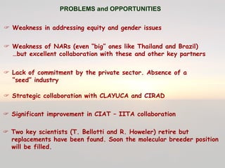 Cassava for sustainable poverty alleviation