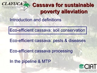 Cassava for sustainable poverty alleviation