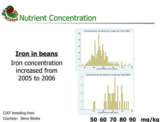AgroSalud Nutrition Research in Latin America and the Caribbean