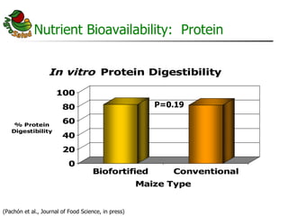 AgroSalud Nutrition Research in Latin America and the Caribbean