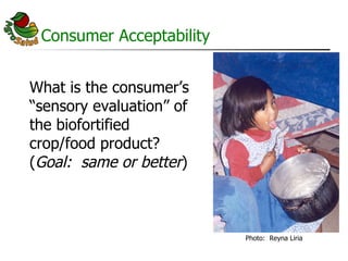 AgroSalud Nutrition Research in Latin America and the Caribbean