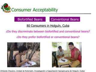 AgroSalud Nutrition Research in Latin America and the Caribbean