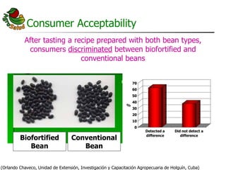AgroSalud Nutrition Research in Latin America and the Caribbean