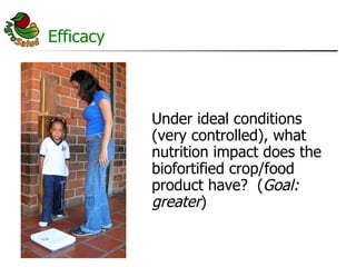 AgroSalud Nutrition Research in Latin America and the Caribbean