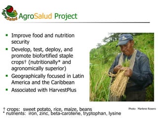 AgroSalud Nutrition Research in Latin America and the Caribbean