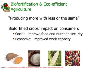 AgroSalud Nutrition Research in Latin America and the Caribbean