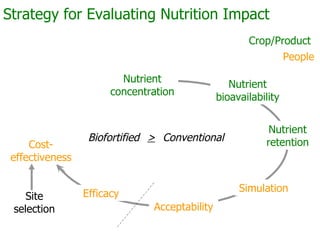 AgroSalud Nutrition Research in Latin America and the Caribbean
