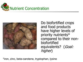 AgroSalud Nutrition Research in Latin America and the Caribbean