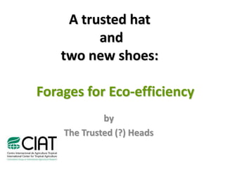 A trusted hat
          and
    two new shoes:

Forages for Eco-efficiency
             by
    The Trusted (?) Heads
 