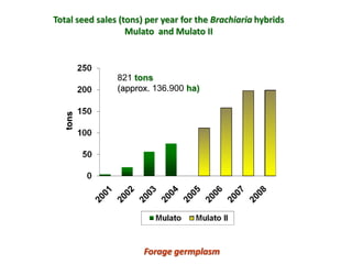 A trusted hat and two new shoes: Forages for Eco-efficiency
