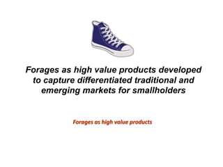 A trusted hat and two new shoes: Forages for Eco-efficiency