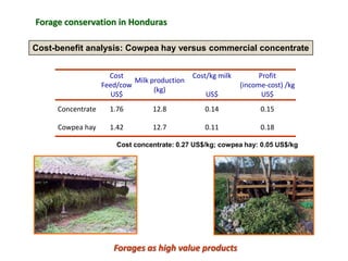 A trusted hat and two new shoes: Forages for Eco-efficiency