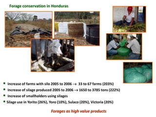 A trusted hat and two new shoes: Forages for Eco-efficiency
