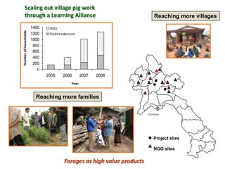 A trusted hat and two new shoes: Forages for Eco-efficiency