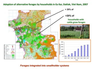 A trusted hat and two new shoes: Forages for Eco-efficiency