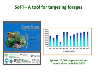 A trusted hat and two new shoes: Forages for Eco-efficiency