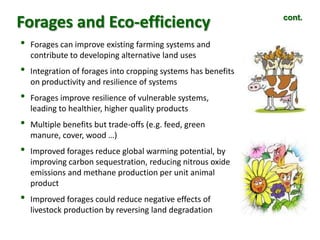 A trusted hat and two new shoes: Forages for Eco-efficiency