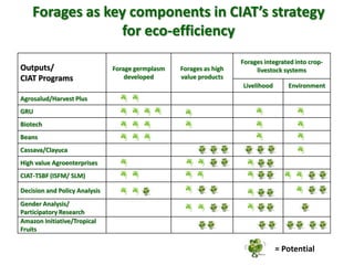 A trusted hat and two new shoes: Forages for Eco-efficiency