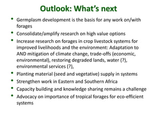 A trusted hat and two new shoes: Forages for Eco-efficiency