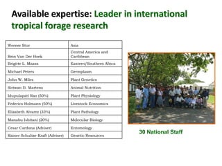 A trusted hat and two new shoes: Forages for Eco-efficiency