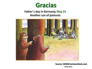 A trusted hat and two new shoes: Forages for Eco-efficiency