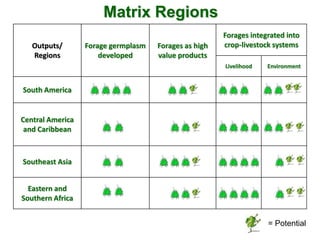 A trusted hat and two new shoes: Forages for Eco-efficiency
