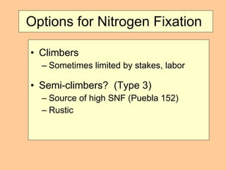 Options for Nitrogen Fixation  Climbers  Sometimes limited by stakes, labor Semi-climbers?  (Type 3) Source of high SNF (Puebla 152) Rustic  