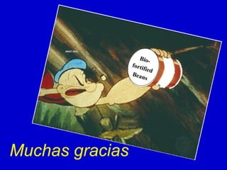 Muchas gracias Bio-fortified Beans 