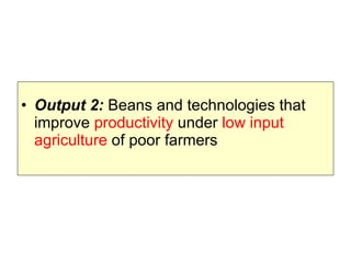 Beans and Eco-efficiency in a Changing Environment