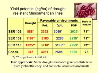 Beans and Eco-efficiency in a Changing Environment