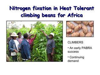 Beans and Eco-efficiency in a Changing Environment