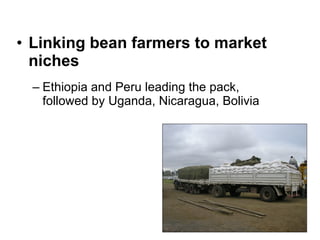 Beans and Eco-efficiency in a Changing Environment