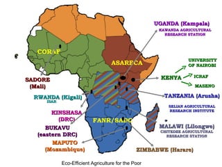 Integrating CIAT Research in Africa