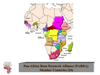 Integrating CIAT Research in Africa
