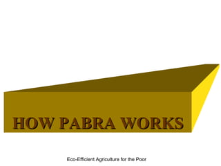 Integrating CIAT Research in Africa