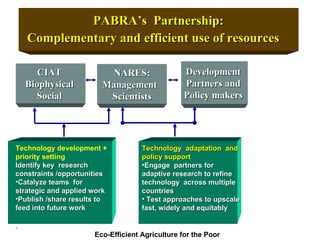 Integrating CIAT Research in Africa