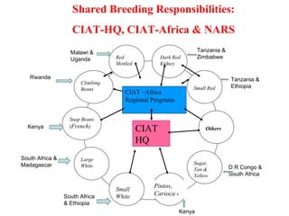 Integrating CIAT Research in Africa