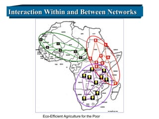 Integrating CIAT Research in Africa