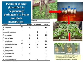 Integrating CIAT Research in Africa