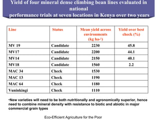 Integrating CIAT Research in Africa