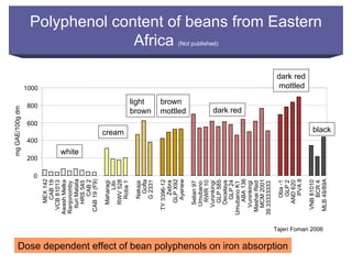 Integrating CIAT Research in Africa