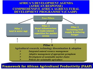 Integrating CIAT Research in Africa