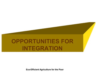Integrating CIAT Research in Africa