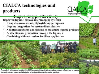Integrating CIAT Research in Africa