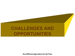 Integrating CIAT Research in Africa