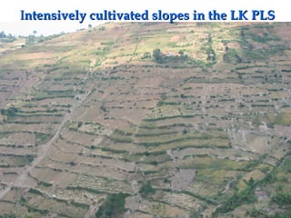 Integrating CIAT Research in Africa