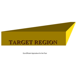 Integrating CIAT Research in Africa