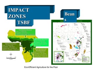 Integrating CIAT Research in Africa