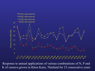 Helping Farmers Help Themselves: CIAT’s contribution to cassava production in Asia