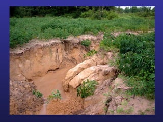 Helping Farmers Help Themselves: CIAT’s contribution to cassava production in Asia